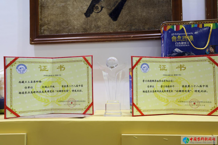 农高会，打通藏区特色农产品外销“天路”