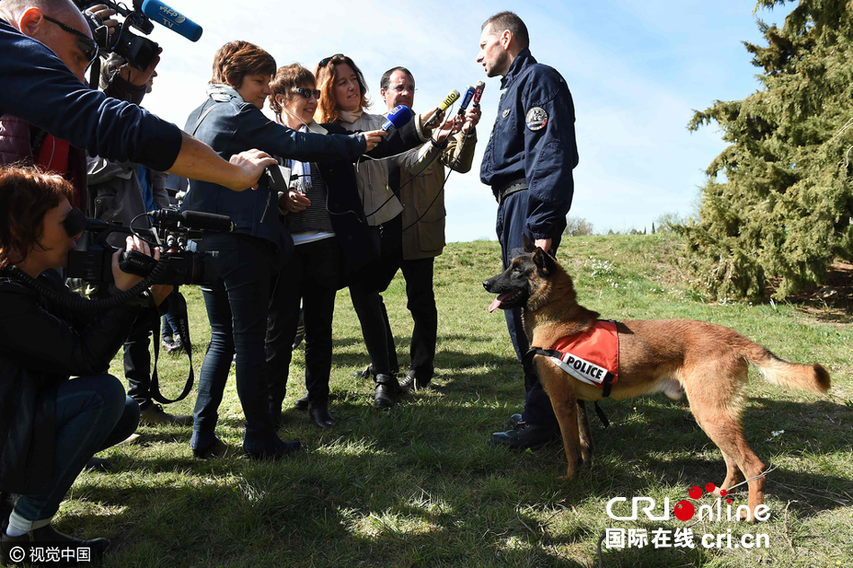 法国一只警犬获得国家警察荣誉勋章