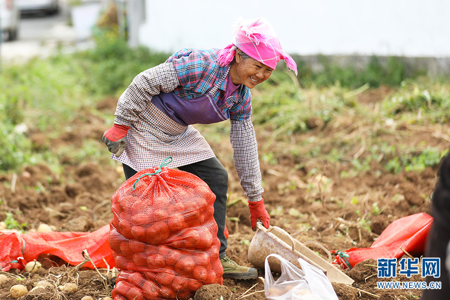 遇见云南生物多样性之美丨“春城”万物生