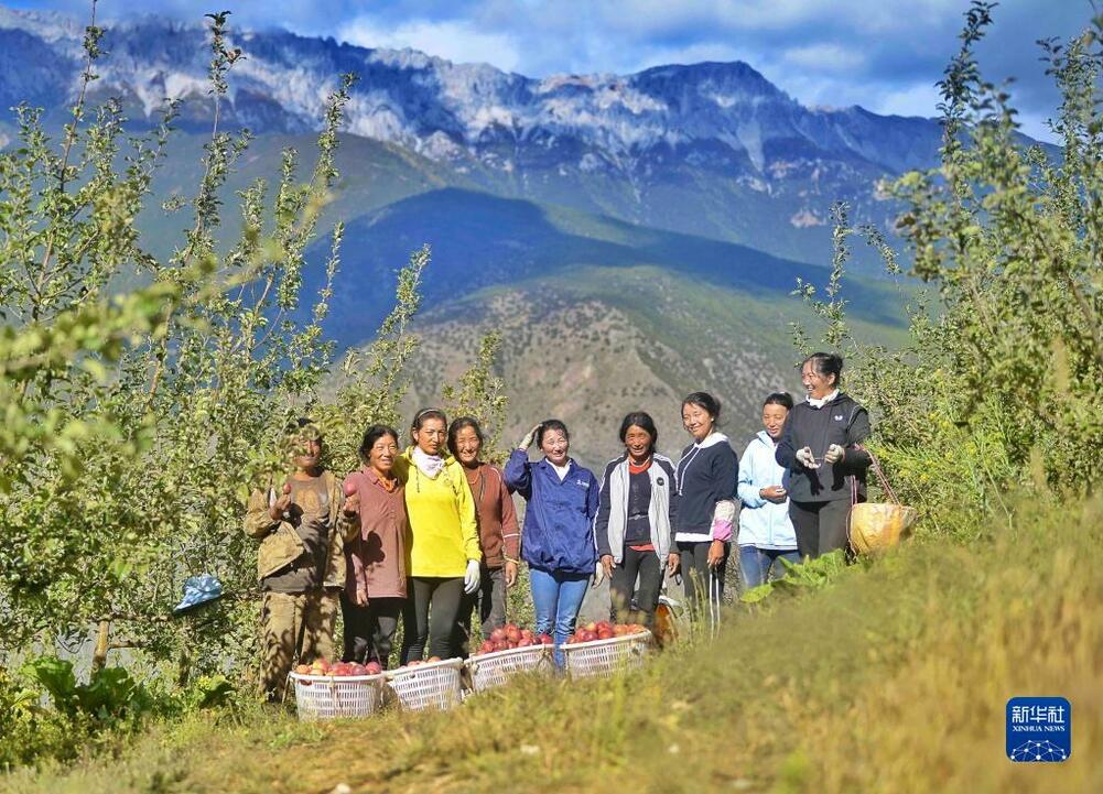 हिउँ पहाड क्षेत्रका स्याउहरू_fororder_6