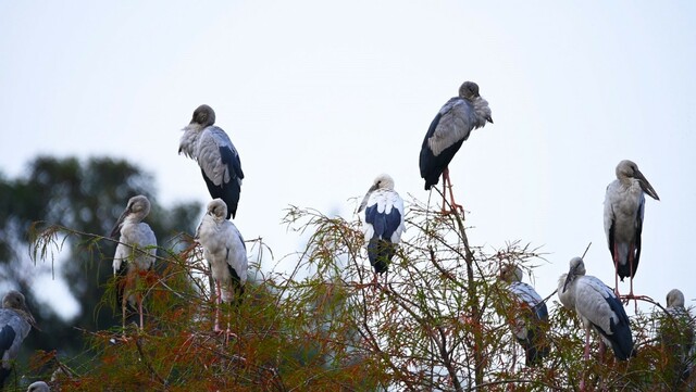 七彩云南 美丽澄江 见证生命起源 守护生物多样性