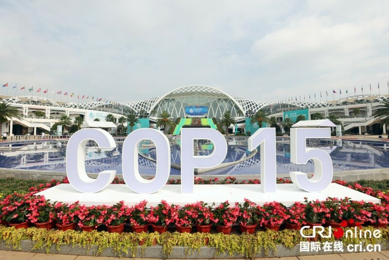 An bude taron COP15 a birnin Kunming_fororder_1000
