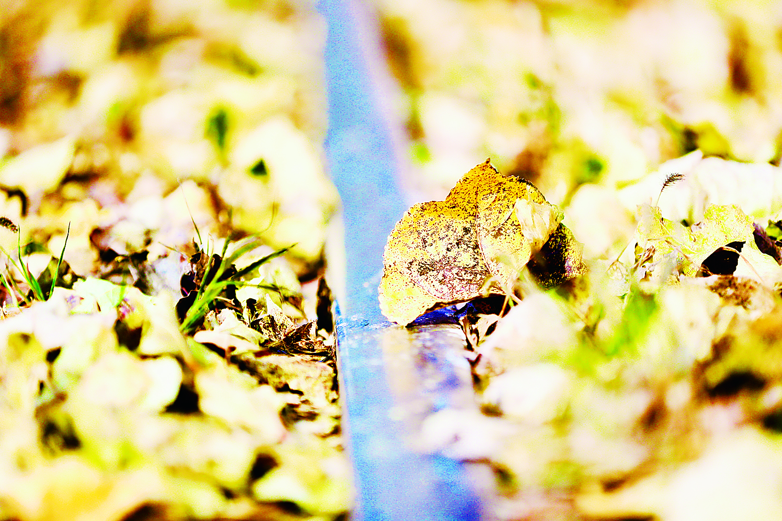 摩电：长春城市名片