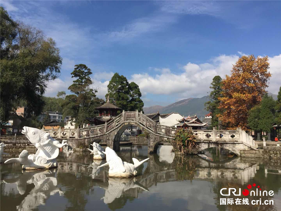 图片默认标题_fororder_--172.100.100.3-temp-9500041-1-9500041_1_1_2dd3c8c0-18d4-4417-ac74-38dbc4ba9dd0