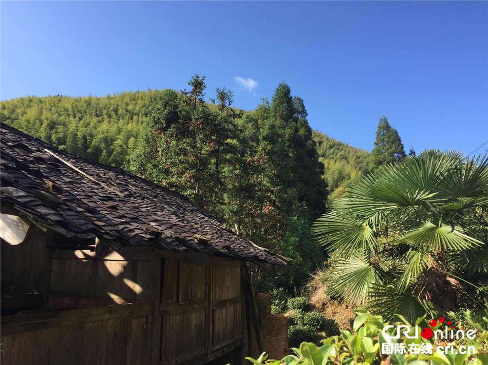 图片默认标题_fororder_--172.100.100.3-temp-9500041-1-9500041_1_1_961f06a6-a5c9-4c8e-934f-1528763f2a88