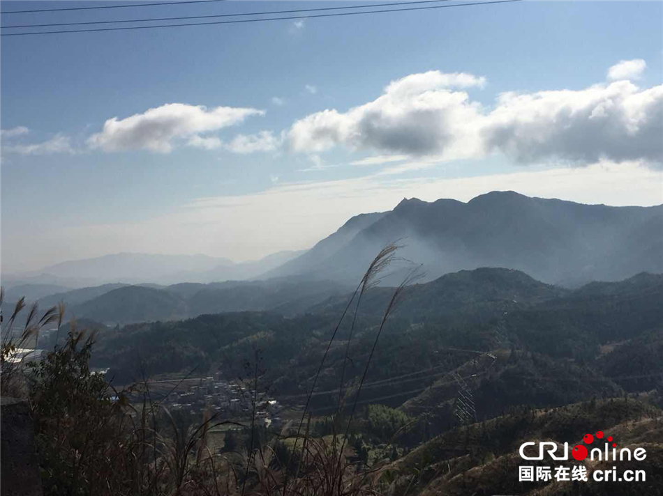 图片默认标题_fororder_--172.100.100.3-temp-9500041-1-9500041_1_1_fb607de5-eda0-4c2c-8a2d-28110936c52b