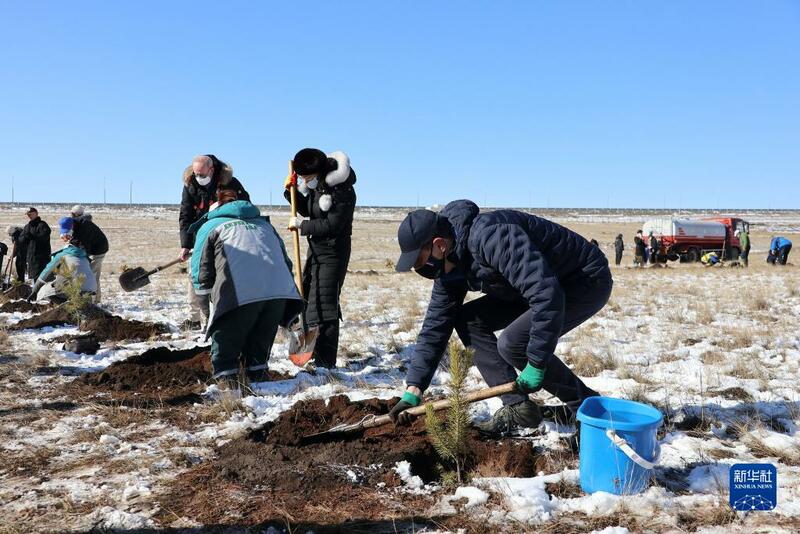 Shirin dasa bishiyoyi biliyan daya a kasar Mongoliya_fororder_1127943718_16338808625291n