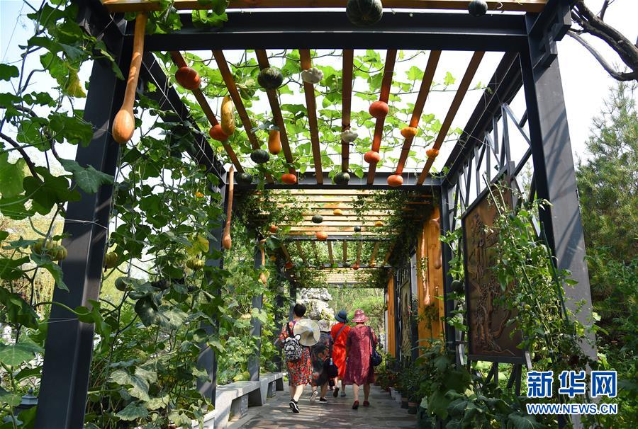 北京世园会迎来“山东日”