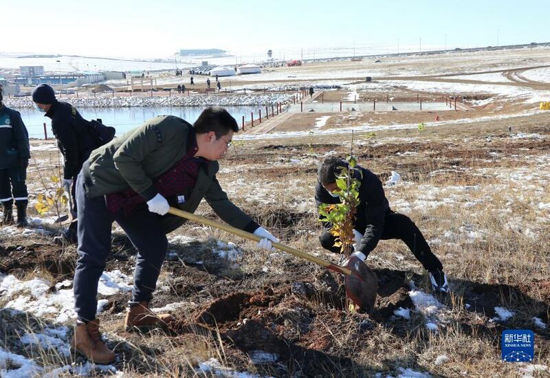 Shirin dasa bishiyoyi biliyan daya a kasar Mongoliya_fororder_1127943718_16338808622591n