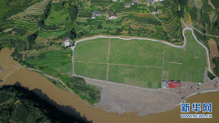 贵州毕节：沙滩西瓜“抢鲜”上市