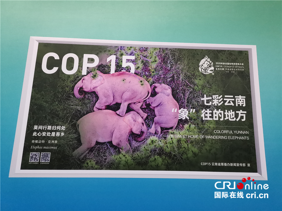 多样性大会)在cop15新闻中心感受生物多样性_fororder_亚洲象宣传画