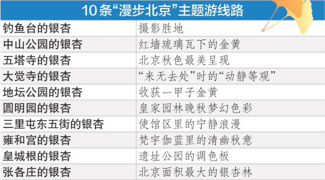 “漫步北京”推14条赏银杏线路