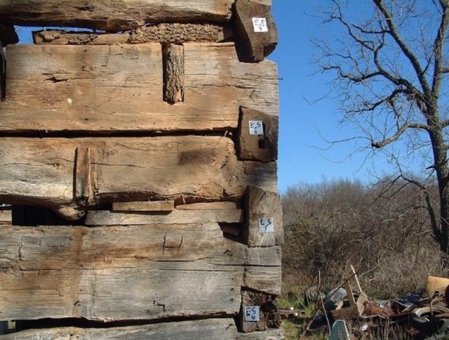 50年破木屋变身梦幻林间别墅