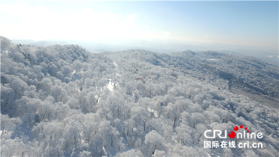 中国正式设立首批国家公园_fororder___172.100.100.3_temp_9500031_1_9500031_1_1_59c2bc2e-8b20-4e3c-8bf1-0e5a54863bb5