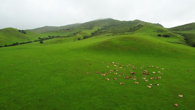 CMG Komentaryo: Tsina, mag-aambag sa pagtatatag ng komunidad ng lahat ng buhay sa Mundo_fororder_1310192064_16318017473361n