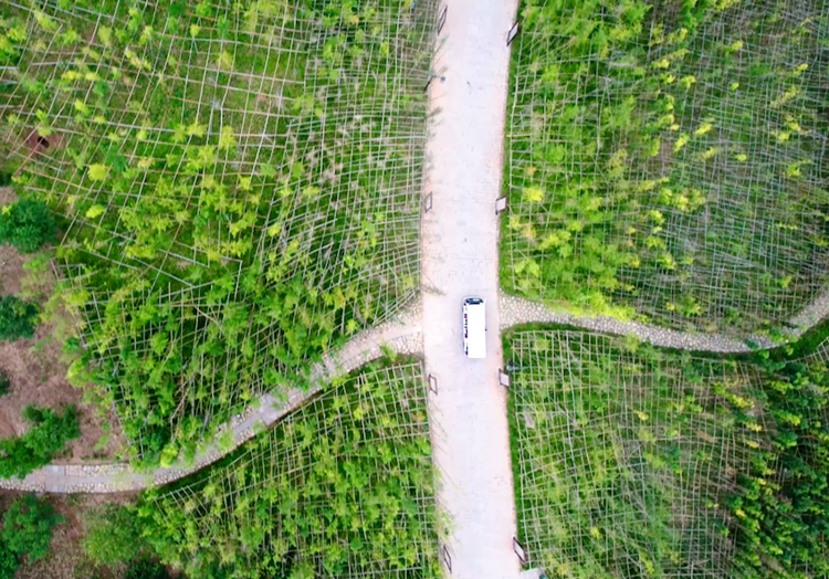 安徽阜阳：西湖烟水如我家