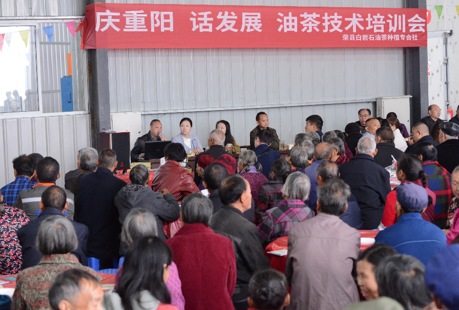 （转载）自贡荣县17万亩油茶预计收获鲜果4万吨