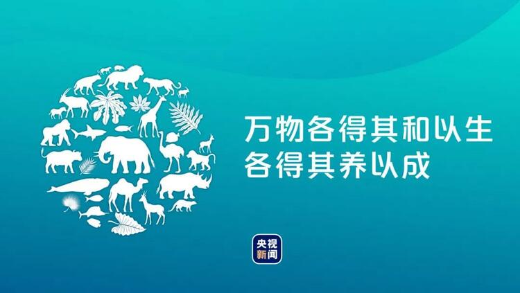 习语典读丨一句古语读懂中国生态文明理念