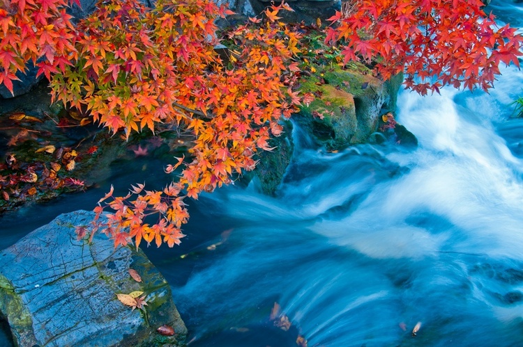 揚州：清風吹紅葉 古城秋意濃