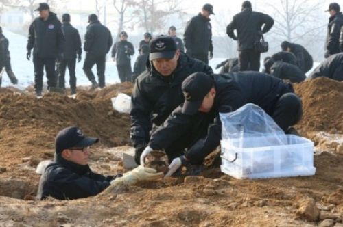 清明节前，他们回家了:韩国归还36具中国志愿军遗骸