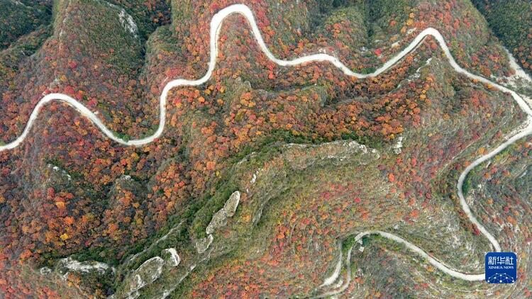 河北沙河：深秋紅葉染山林