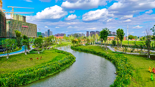 成都青白江入選國家生態文明建設示範區_fororder_長流河濕地公園-供圖-青白江區委宣傳部