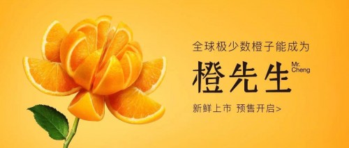 2017年 【橙先生】全面升级，助推中国农产品标准化进程