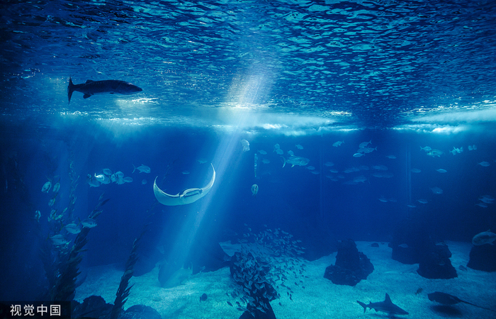 图片默认标题_fororder_VCG41166583271