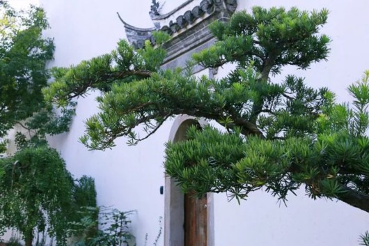 【旅游（大文字）】广富林文化遗址2018年春正式开园