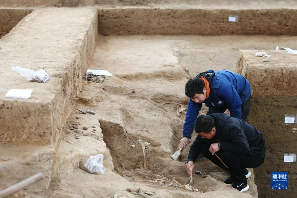 百年篳路藍縷 勾勒文明脈絡——紀念仰韶文化發現暨中國現代考古學誕生100週年