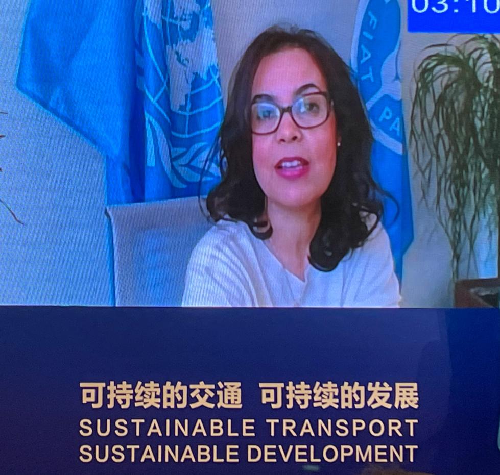 दोस्रो राष्ट्र संघीय दिगो यातायात सम्मेलनमा गरिबी उन्मूलनसम्बन्धमा छलफल_fororder_4