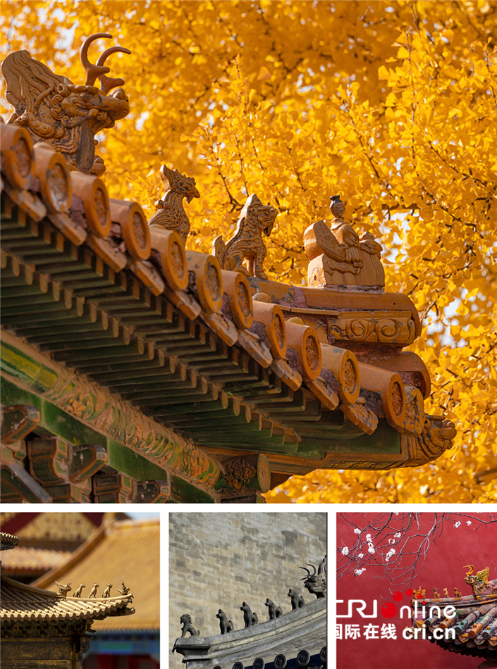 知道风物 ∣ 站在屋顶唱歌的动物们_fororder___172.100.100.3_temp_2_1_2_1_1_99a75bdc-2d34-45c5-8aec-e7b306dc81dd