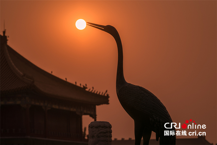 知道风物 ∣ 站在屋顶唱歌的动物们_fororder___172.100.100.3_temp_2_1_2_1_1_6cb44663-49ac-4cab-b44f-9e0a0cd171c9