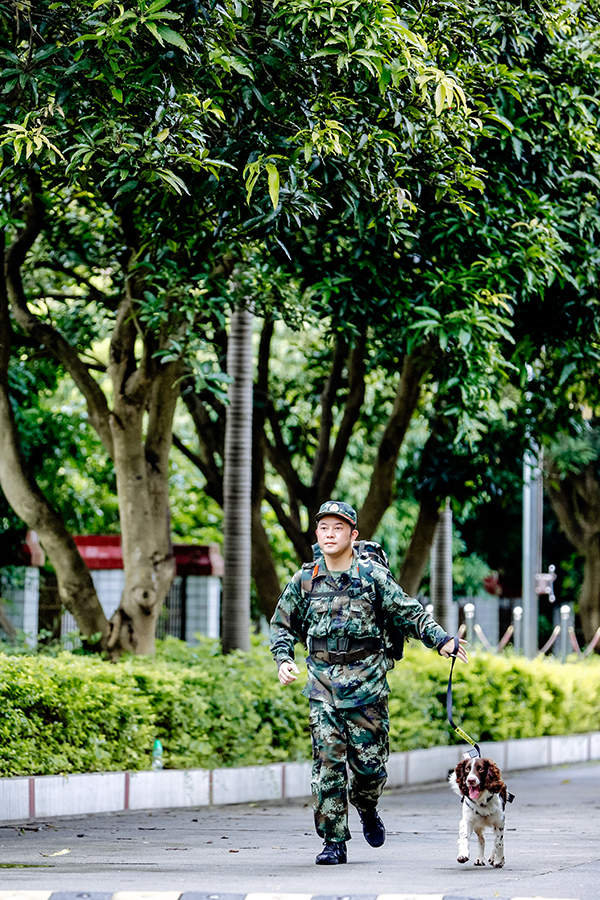 张大大西装图片