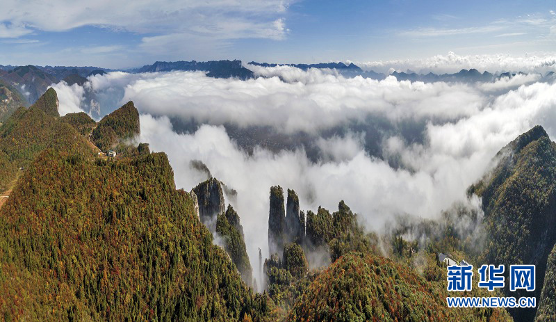 湖北恩施：峡谷秋色 胜景迷人