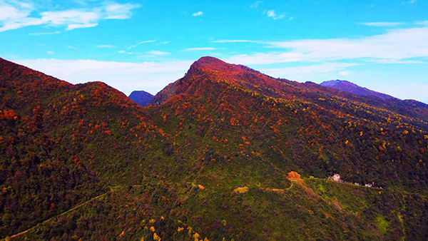 眉山洪雅：瓦屋山的秋天 缤纷的童话世界_fororder_秋之瓦屋-供图-洪雅县委宣传部