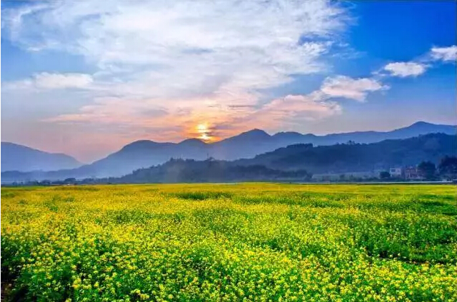 福建长泰全国登山精英赛金秋来袭,引领全民健身新风尚 福建长泰全国登山精英赛金秋来袭,引领全民健身新风尚