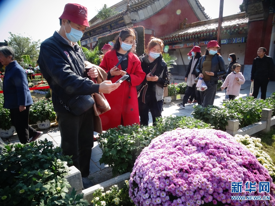 河南開封：菊香迎客來