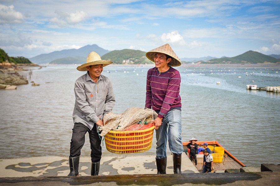 探访闽东小渔村：青山、村落、渔港、海湾，叙说着新时代渔民的幸福生活