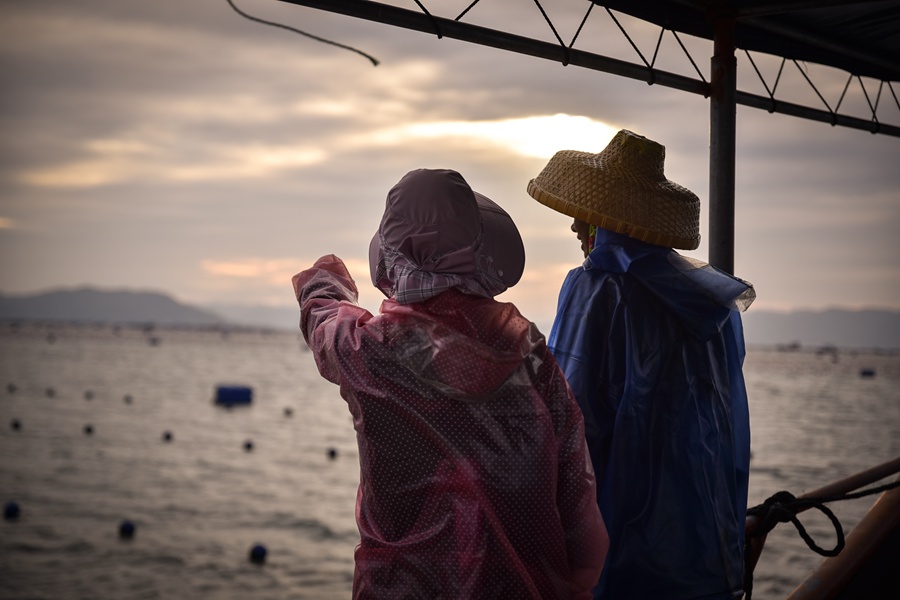 探訪閩東小漁村：青山、村落、漁港、海灣，敘説著新時代漁民的幸福生活