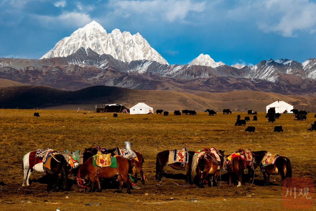 （中首）半山彩林半山雪 川西高原美得令人窒息