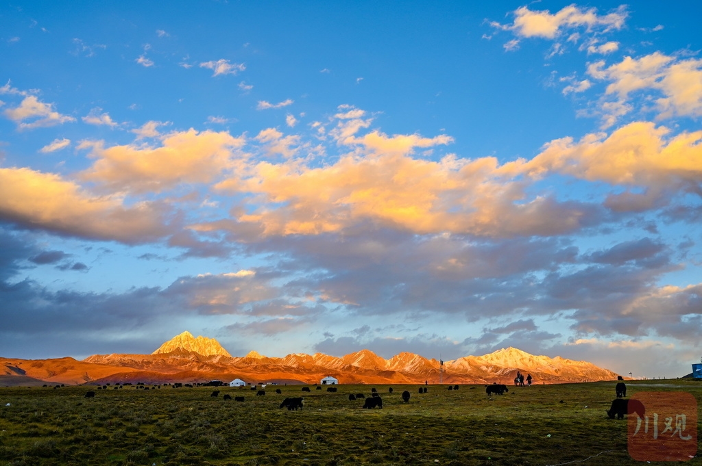 （中首）半山彩林半山雪 川西高原美得令人窒息