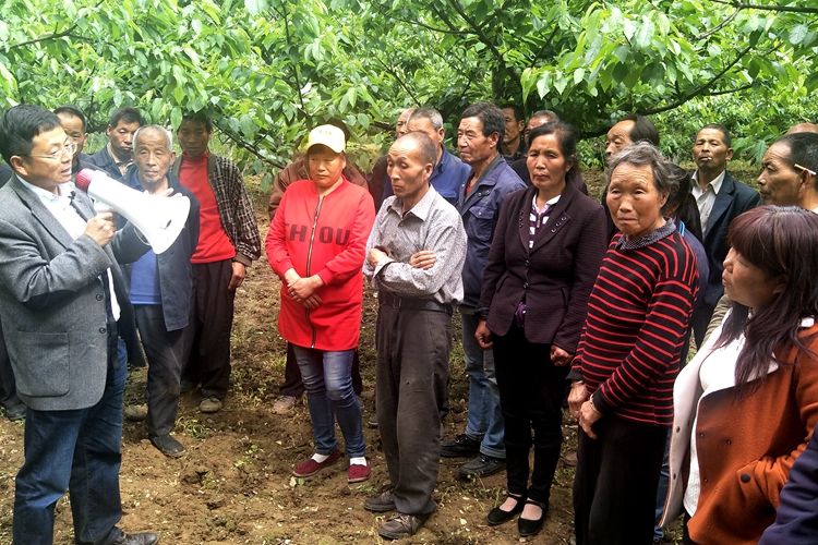 （轉載）陜西楊淩：執著田疇 打造知名農業矽谷