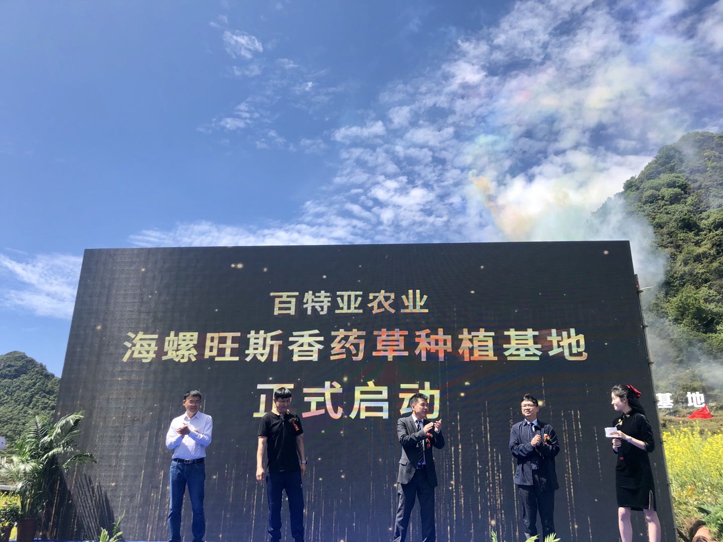 海螺旺斯香药草种植基地启动 千亩芬芳 “香”飘乌蒙