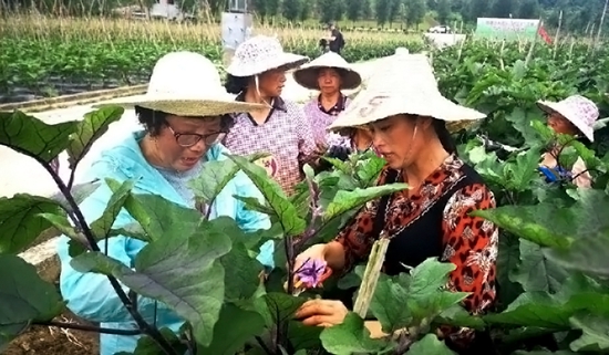 （在文中作了修改）贵州黔南“菜篮子”直销粤港澳大湾区