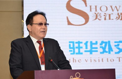 驻华外交官走进泰州 参加“Show美江苏 吉祥泰州”推介会_fororder_20171115054604