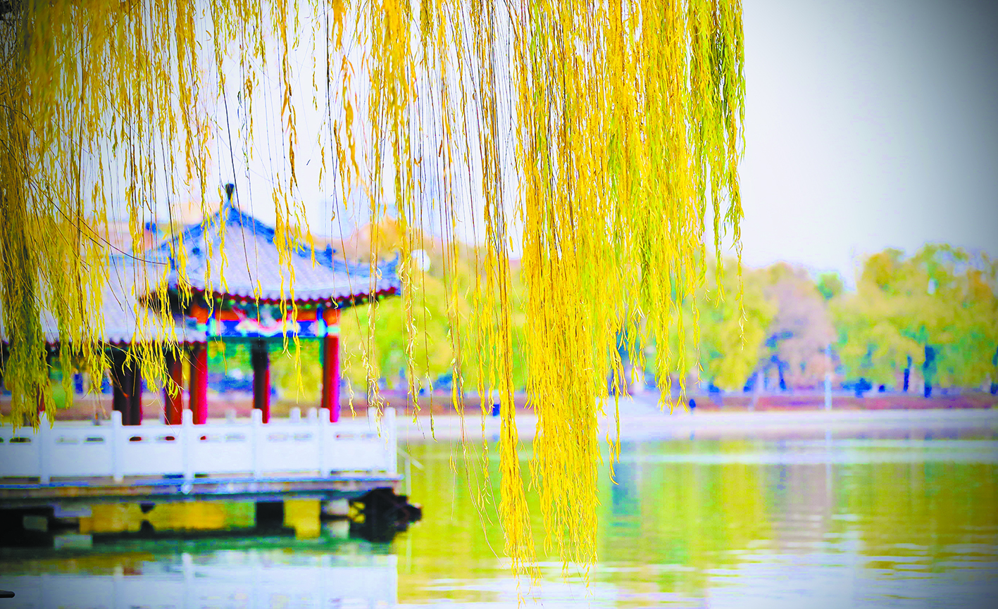 长春：南湖秋叶