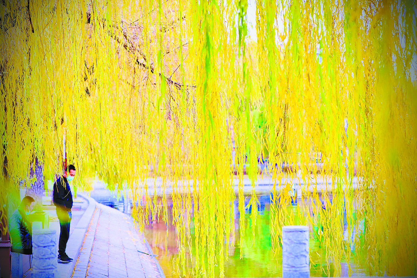 长春：南湖秋叶