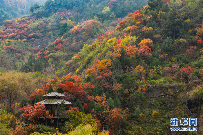 제남 구여산의 가을정경_fororder_rBABCmF_P8SAZXCFAAAAAAAAAAA297.980x653.961x640