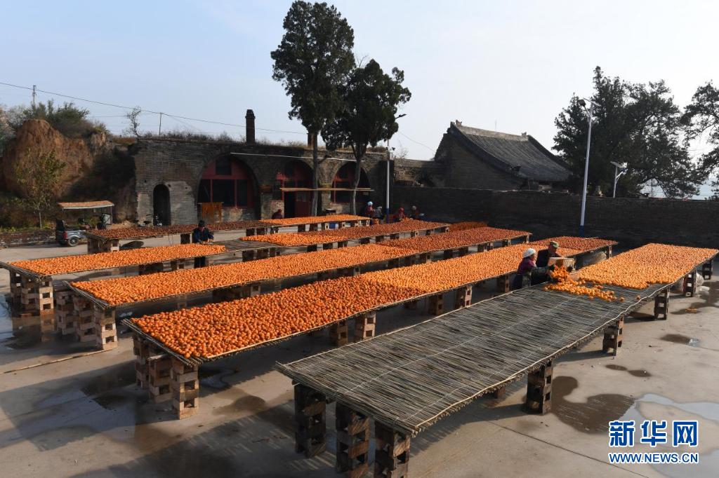 深秋晾柿 一派丰景